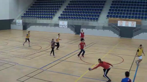 vidéo 29 mars handball 2nde pro jaune