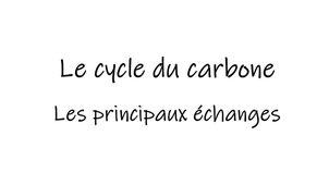 Le cycle du carbone - les principaux échanges