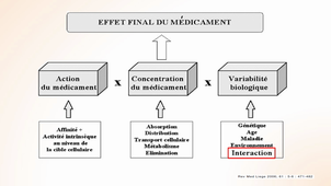 Interactions médicamenteuses (hors métabolisme hépatique)