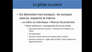 Organes des sens 1 et 2 ( Anatomie)