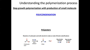 Course 2 2024 : principles of polymerization