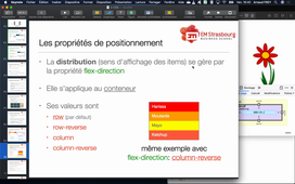 CSS - Le modèle Flexbox