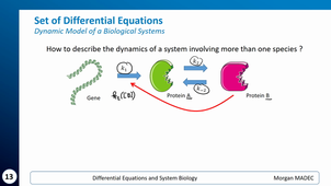 DESB - 3.1. Set of Differential Equations (10')