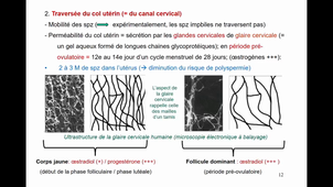 cOURS -TELETIN- PART.1