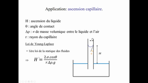 tension superficielle-Adhesion-2