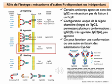 Immunité des tumeurs - 4ème année Pharmacie 2021-2022