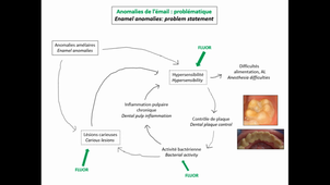 Dr. Magali Hernandez - Anomalies de l’émail et prévention. Quelles sont les recommandations ?