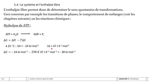 L1SPS UE6 Thermo CM 4