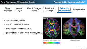 De la biophysique à l'imagerie médicale pratique - Partie 1.m4v