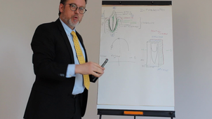 Morphologie dentaire PACES1