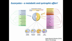 MMD3 - The carbon cycle (end), the nitrogen cycle