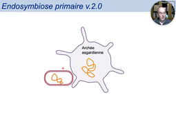 DMV02 - Evolution Diversite - 3 Mitochondrial Endosymbiosis