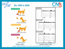 ADDICTO - Bases fondamentales - Circuit de la récompense