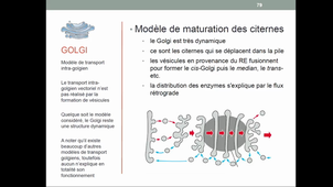Système endomembranaire - Appareil de Golgie partie 2 UE5 T.LAVAUX