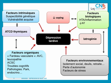 PPA - Dépression du sujet âgé Particularités cliniques et traitement