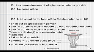 8sp10 Burgy