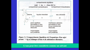 UE 6: Compartiments liquidiens 1