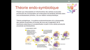 UE5 - Biologie cellulaire - Origine du vivant