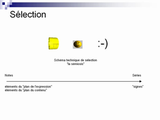 sémiologie des tics4b