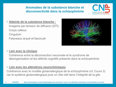 PA - Bases fondamentales - troubles schizophréniques 2 - Les altérations anatomiques et fonctionnelles