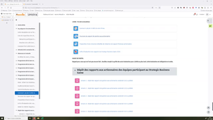 Présentation du jeu de simulation Business Strategic