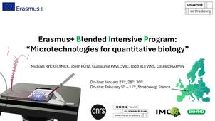 DNA quantification using PCR technics