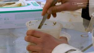 De nouvelles matières à partir de déchets organiques