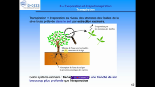 Foad_hydro_chap2_6bis_ETP