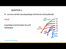 UE8_MP-MT_1 02/04/20