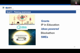 27.03 - Observatory / IPR protection, enforcement, infringement - P. Maier