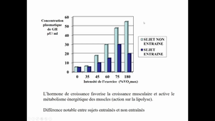 Endocrinologie - Partie 6 - Réponse hormonale à l'exercice
