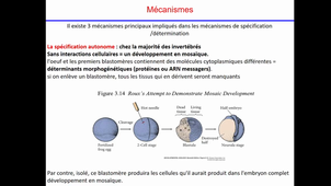 Vie cellulaire 2 et 3