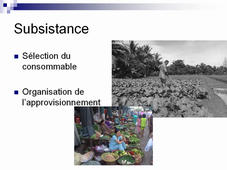 sémiologiesdestics3b