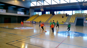 vidéo 28 mars handball 6ème orange