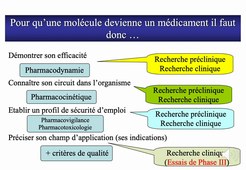 De la molécule au médicament / partie 1