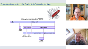 Introduction to Neuroendocrinology Q&A 261027