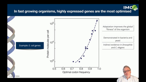 4.2. Coding regions biases