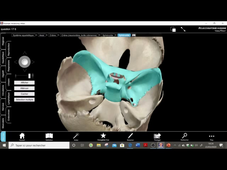 UE8_MP-MT_2 02/04/20