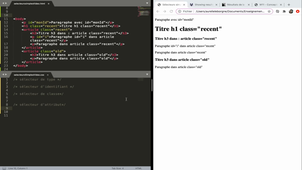 Sélecteurs simples en CSS