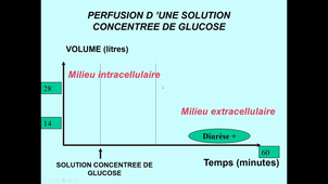 Cours (GENY)    23/04/25
