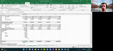 Vidéo 5.1. Business plan financier : Analyse de sensibilité – AIDE : plusieurs projets