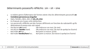 Pronoms réfléchis SIG SIN dan.mp4