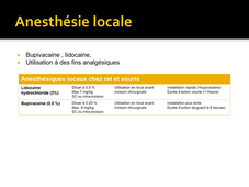 Principe et techniques d’anesthesie et d’analgesie chez les rongeurs.mp4