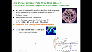 Biosphère, carbone, et changement climatique (2ème partie)