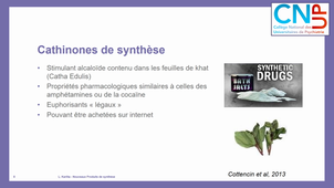 ADDICTO - Clinique - Nouveaux produits de synthèse