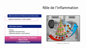 Régénération parodontale-principes biologiques et perspectives.mp4