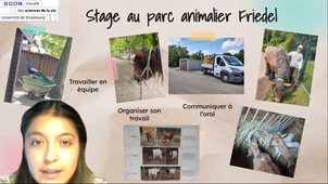 Vidéo MSP SV_BMC_RAYA Ilse.mp4