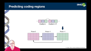 4.4. Using sequence models