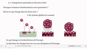 L1S_UE6_Thermodynamique_CM3_Reisch
