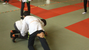 judo 4